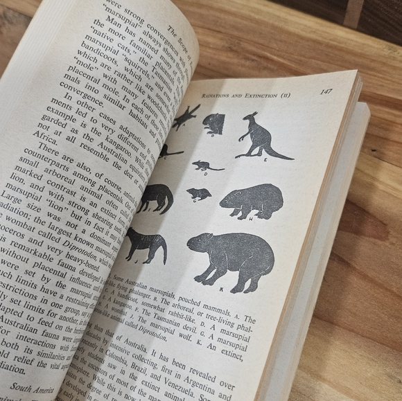 Vintage 1966 First Printing Paperback Book of THE EVOLUTION OF LIFE - Picture 5 of 5